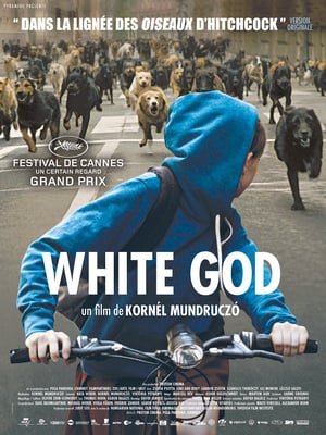 თეთრი ღმერთი White God (Fehér isten)