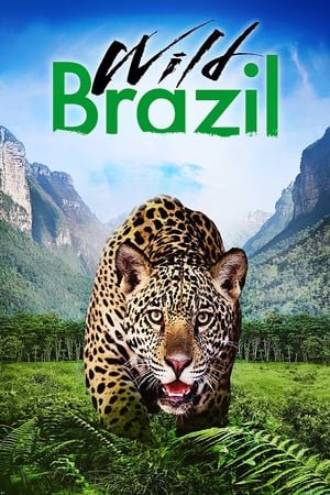 ველური ბრაზილია Wild Brazil