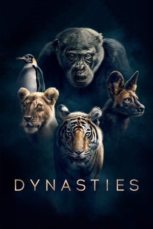 დინასტიები Dynasties