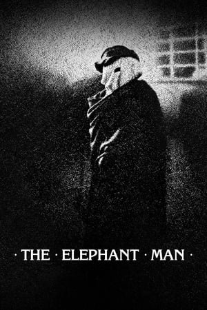 ადამიანი-სპილო The Elephant Man