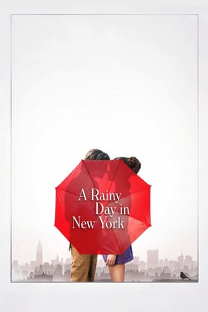 წვიმიანი დღე ნიუ იორკში